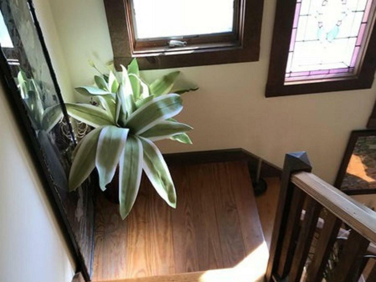 Alojamento de Acomodação e Pequeno-almoço Gardenview Newport